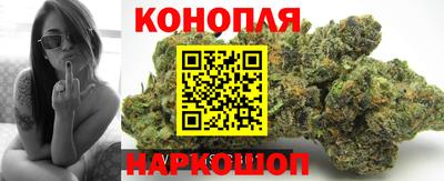 стаф Гудермес